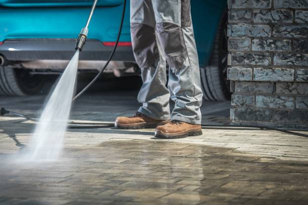 Animal Enclosure Cleaning in Suamico, WI